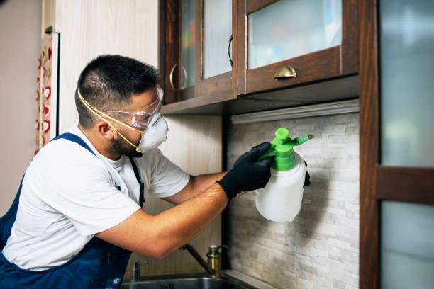 Pest Prevention Services in Oakton, VA