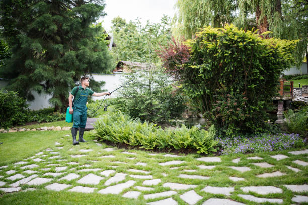 Professional Pest Control in Oakton, VA