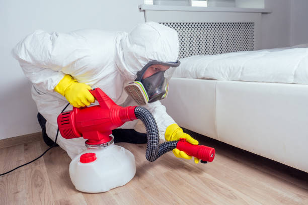 Best Flea Control Services  in Oakton, VA