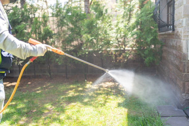 Bird Control in Oakton, VA