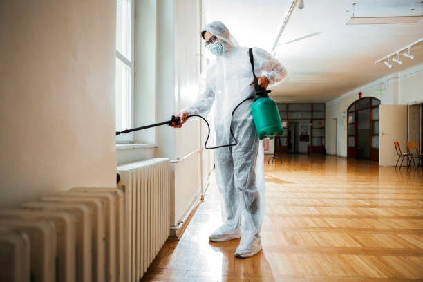 Best Pest Control Near Me  in Oakton, VA
